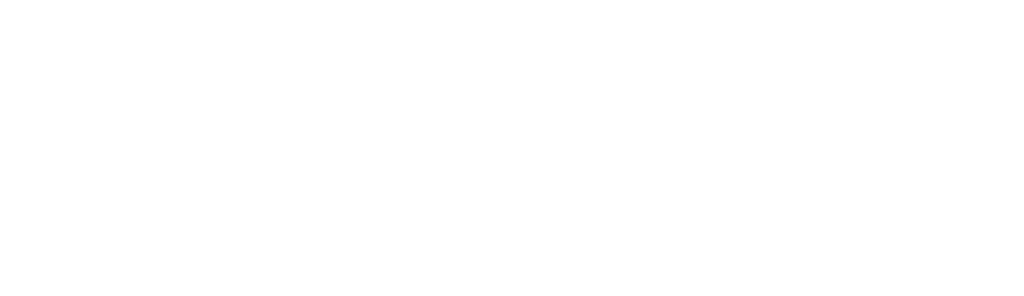 Logo-ownp-white